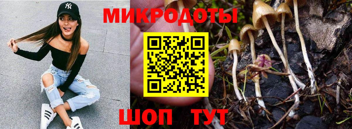 Галлюциногенные грибы мицелий  Вход с VPN  продажа наркотиков  Великие Луки 